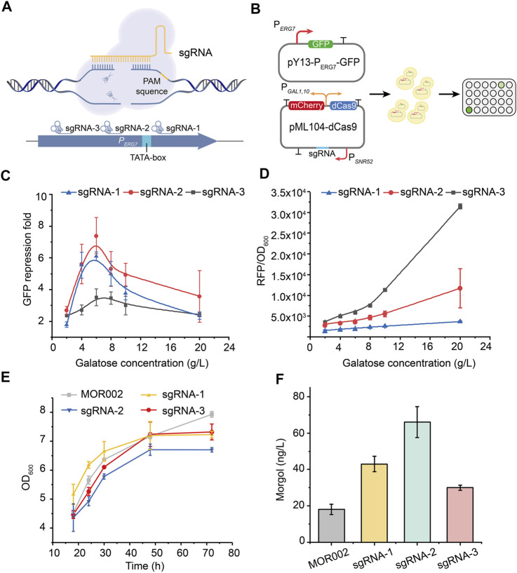 FIGURE 4