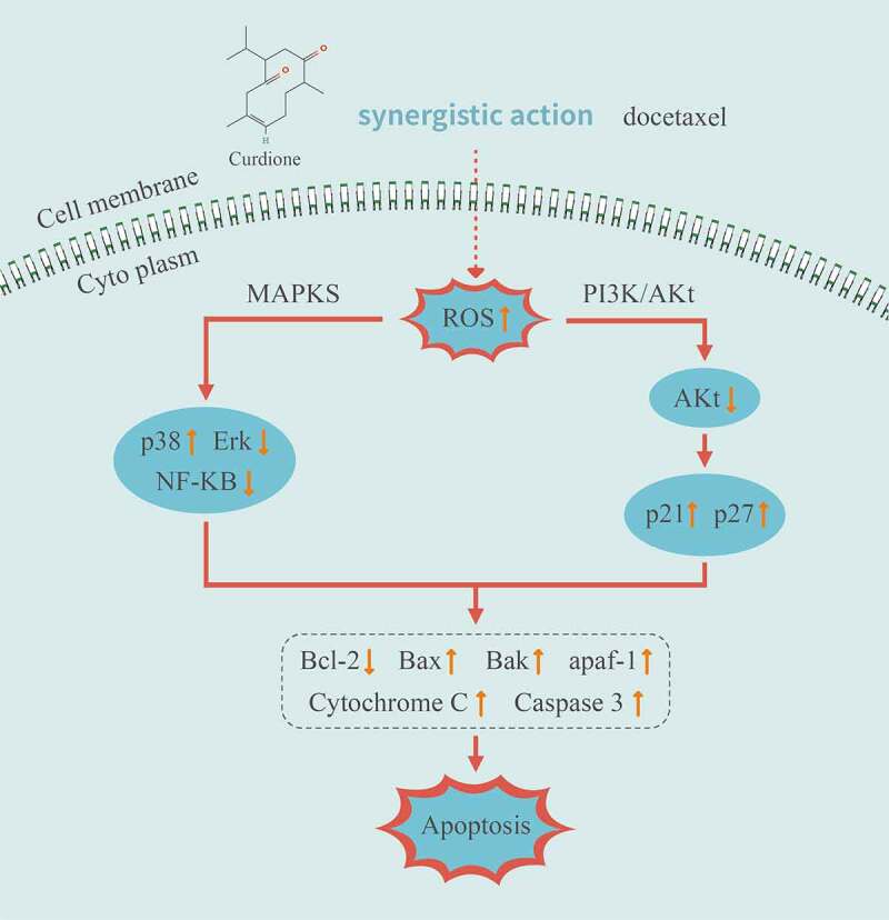 Figure 6.