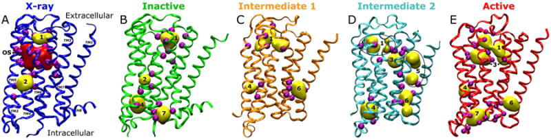 Fig. 2