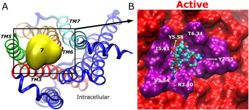 Fig. 7