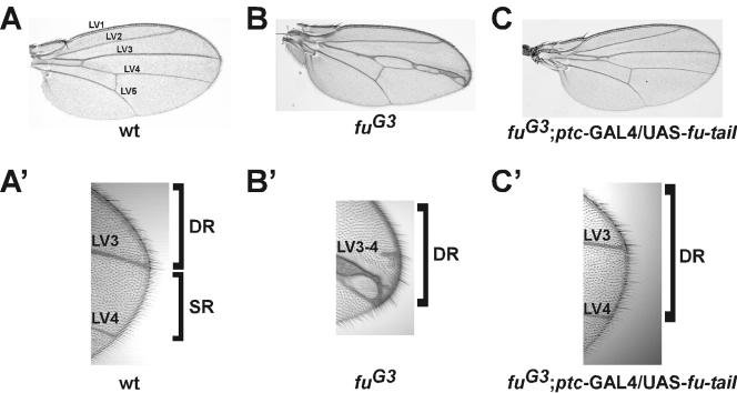 FIG. 4.