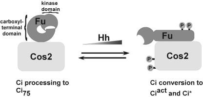 FIG. 5.