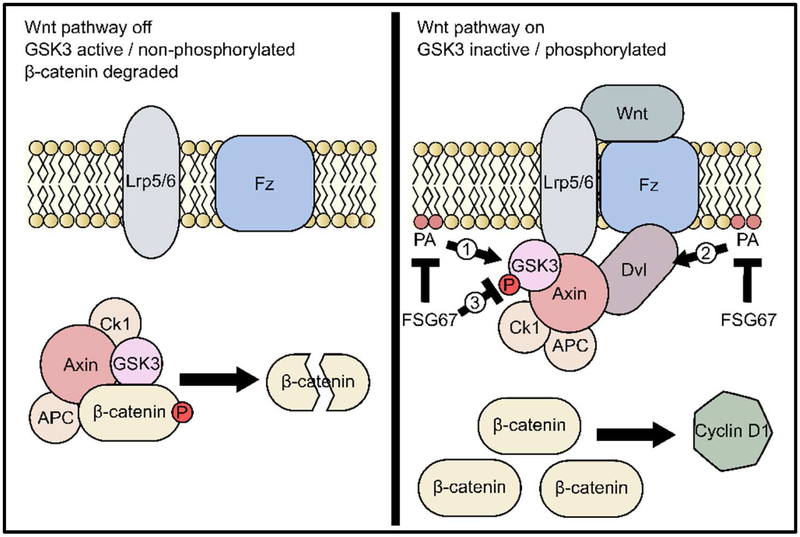 Figure 7.