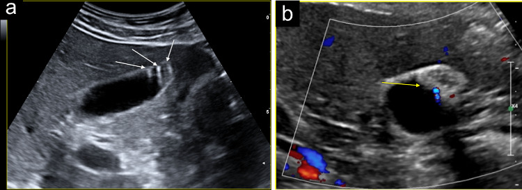 Fig. 9