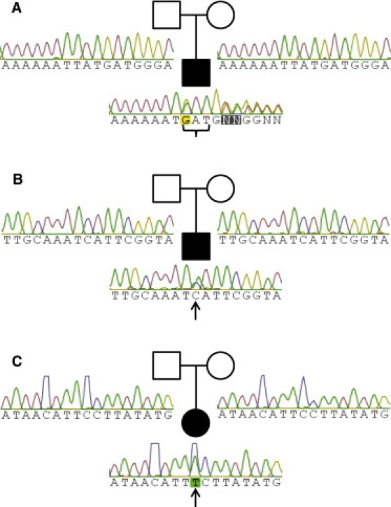 Figure 2