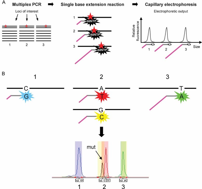 Figure 1