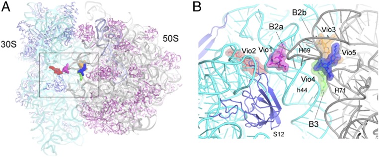 Fig. 2.