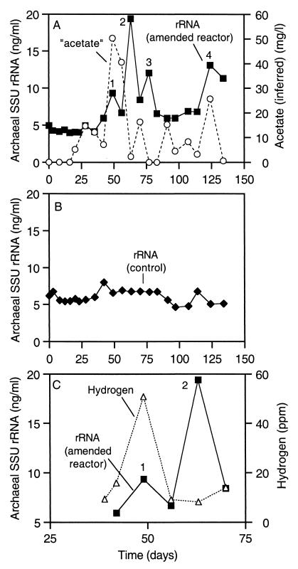 FIG. 6