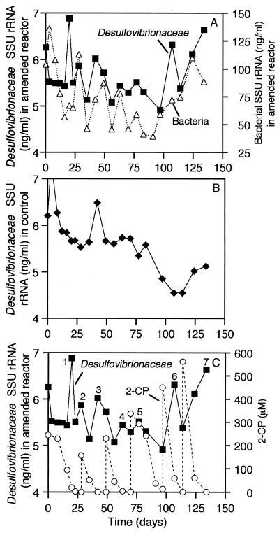 FIG. 8