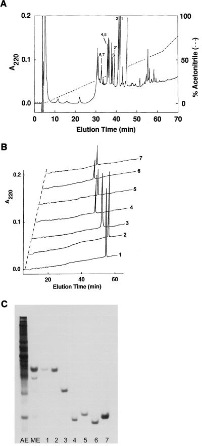 FIG. 1