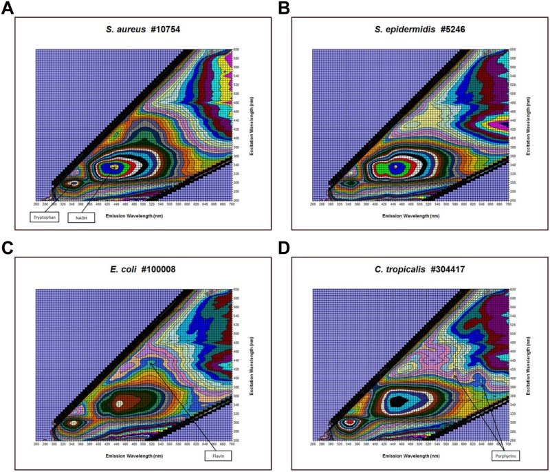 FIG 4 