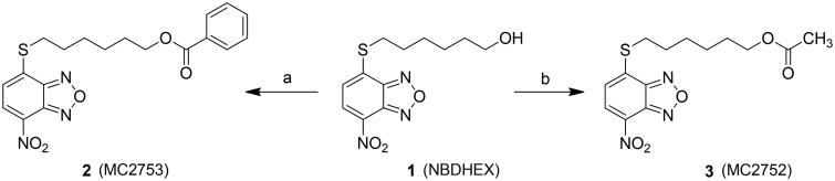 Scheme 1.