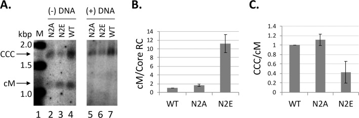 Fig 5