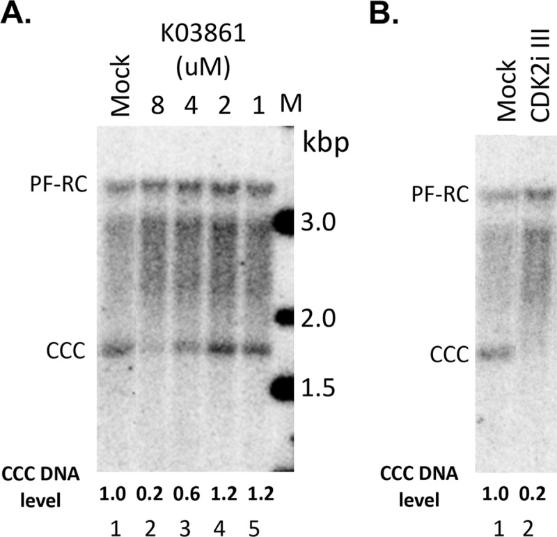 Fig 9