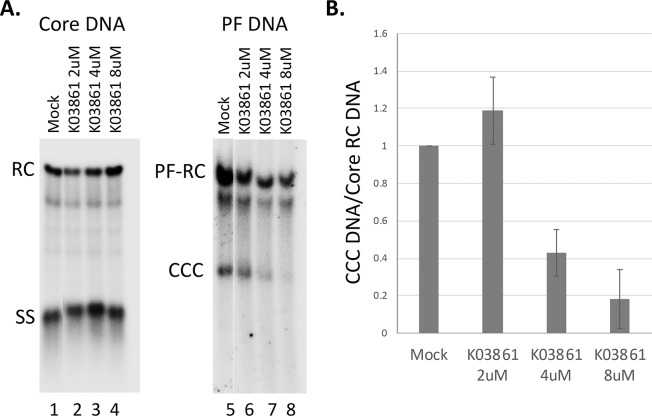 Fig 10