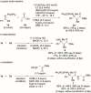 Scheme 3
