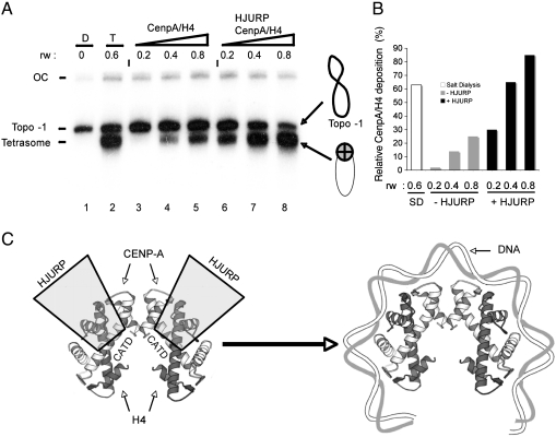 Fig. 5.