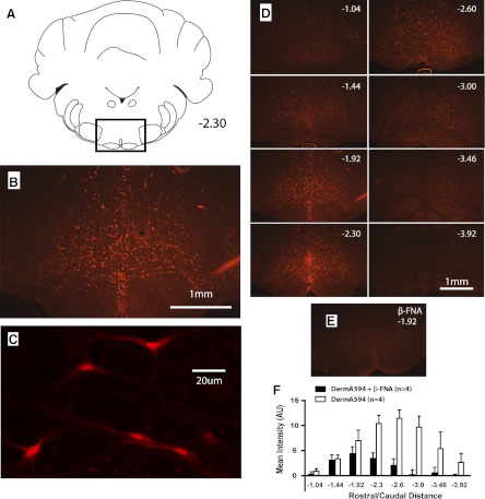 Fig. 2.