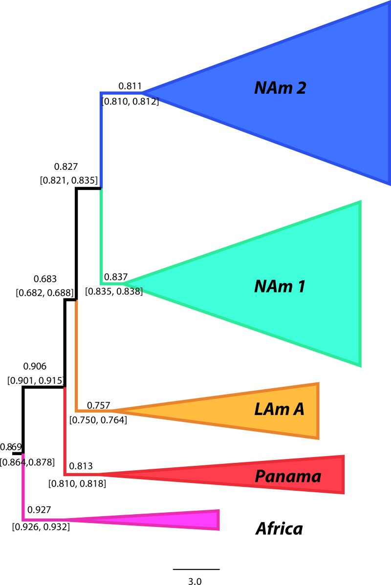 FIG 3 