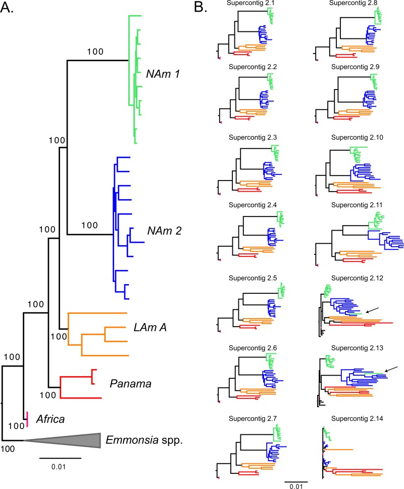 FIG 2 