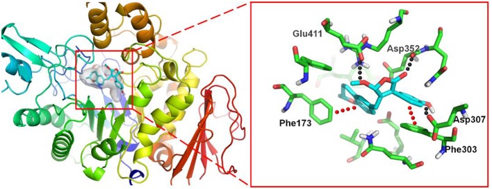 Figure 7