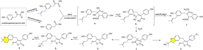 Scheme 1