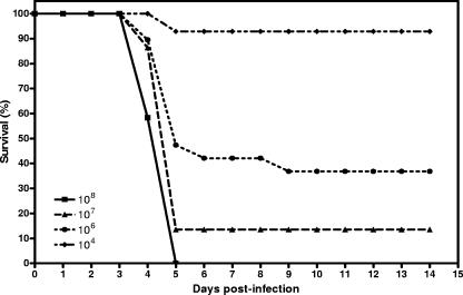 FIG. 1.