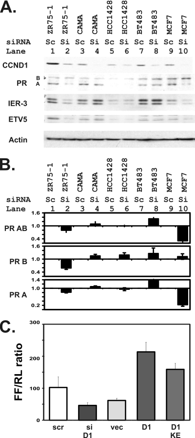 FIG. 8.