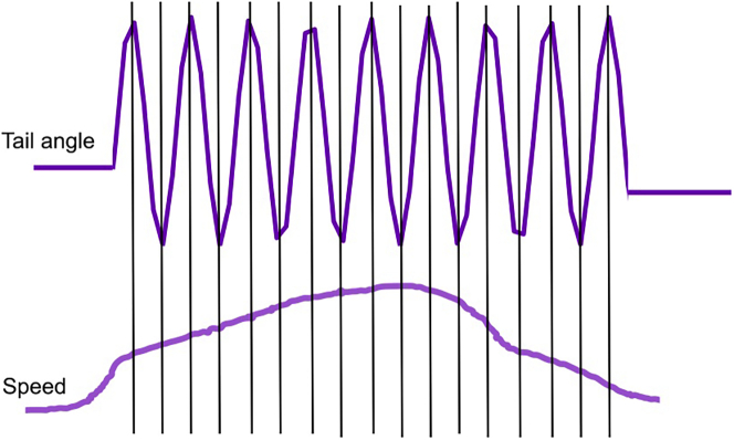 Figure 2
