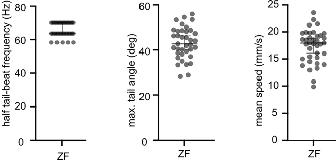 Figure 4