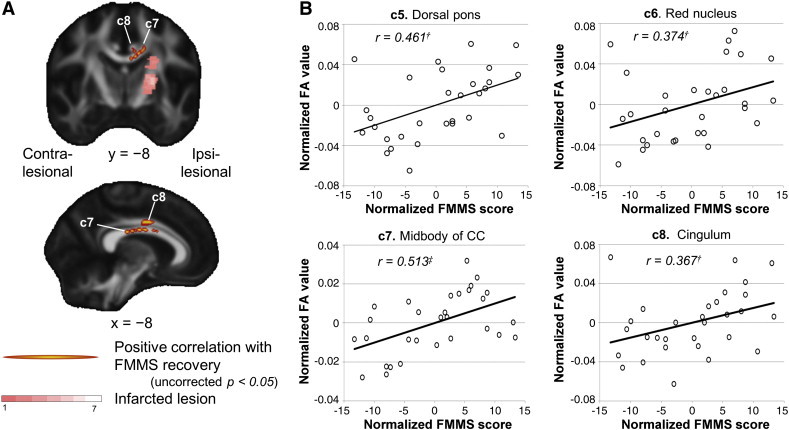 Fig. 4