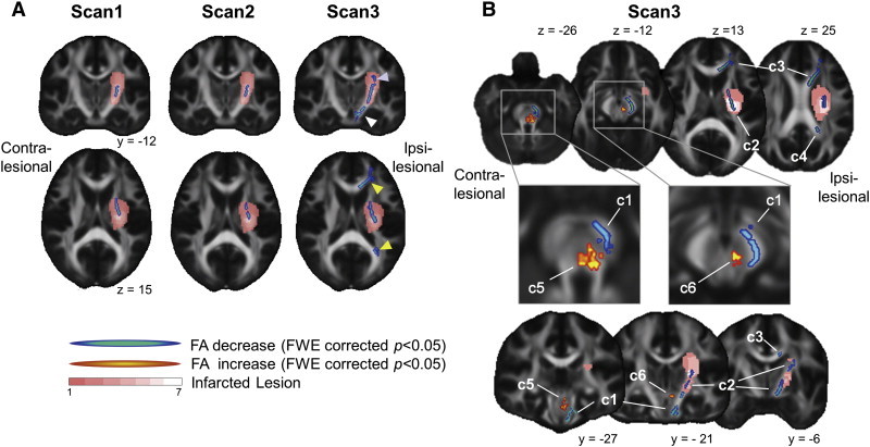 Fig. 2