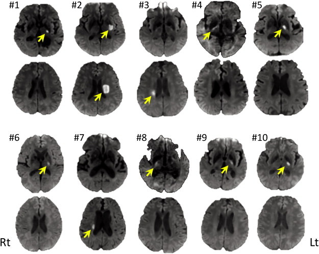 Fig. S1