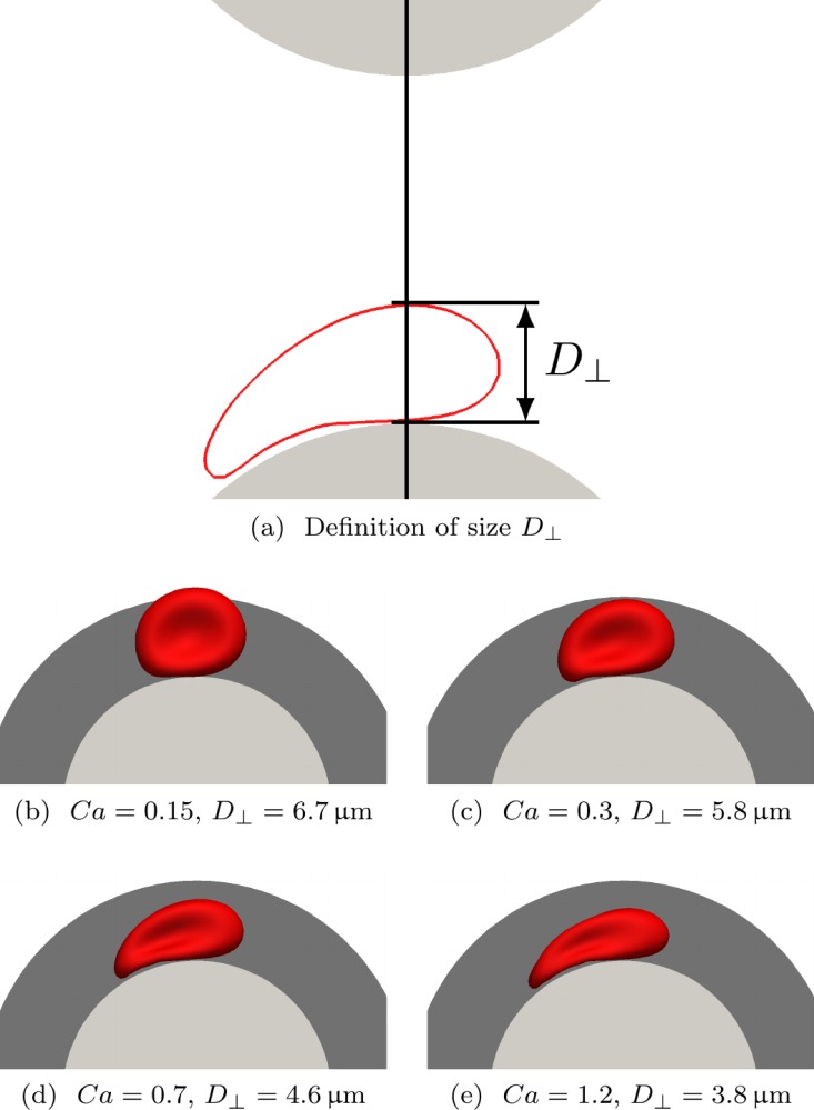 FIG. 8.