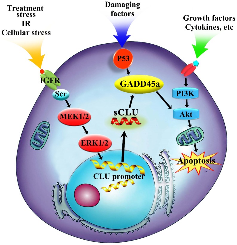 Fig 6