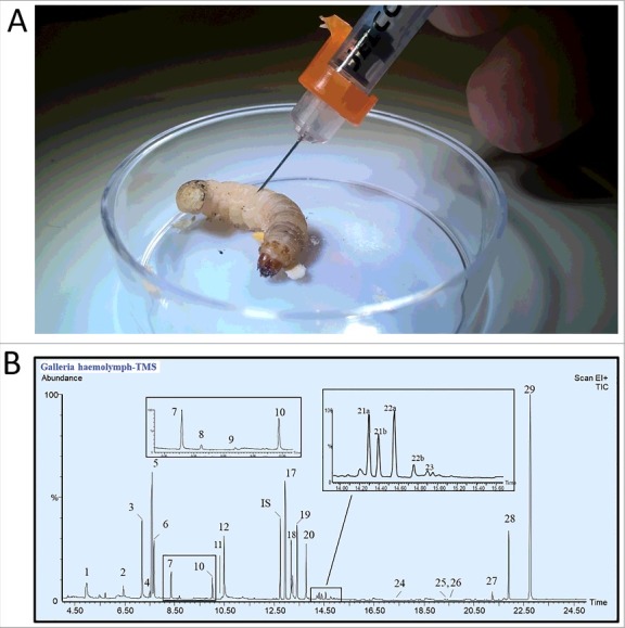 Figure 1.