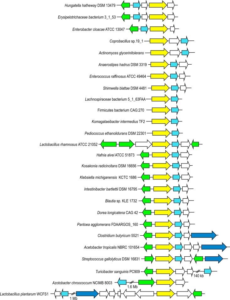 FIG 3