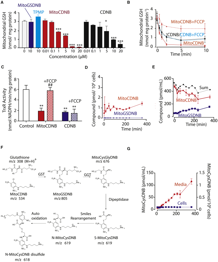 Figure 3