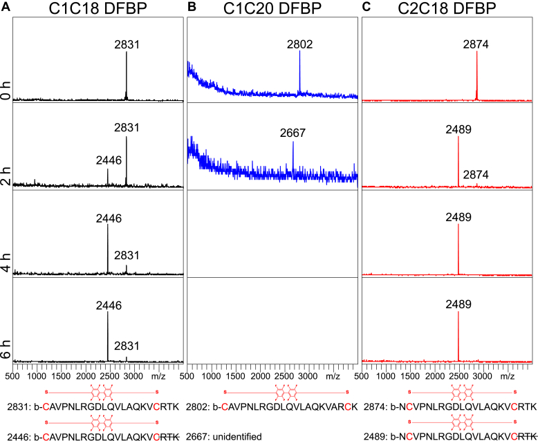 Figure 2