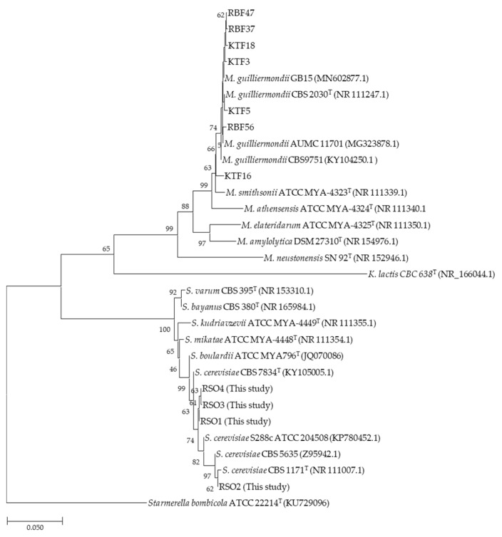 Figure 2