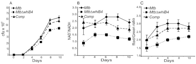 Fig. 3