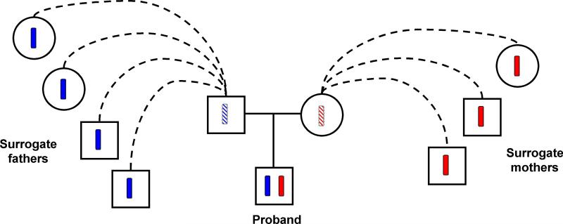 Fig. 1