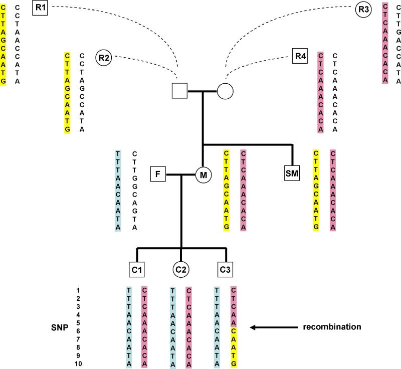 Fig. 3