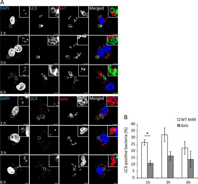 FIG 6 