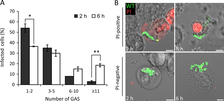 FIG 2 