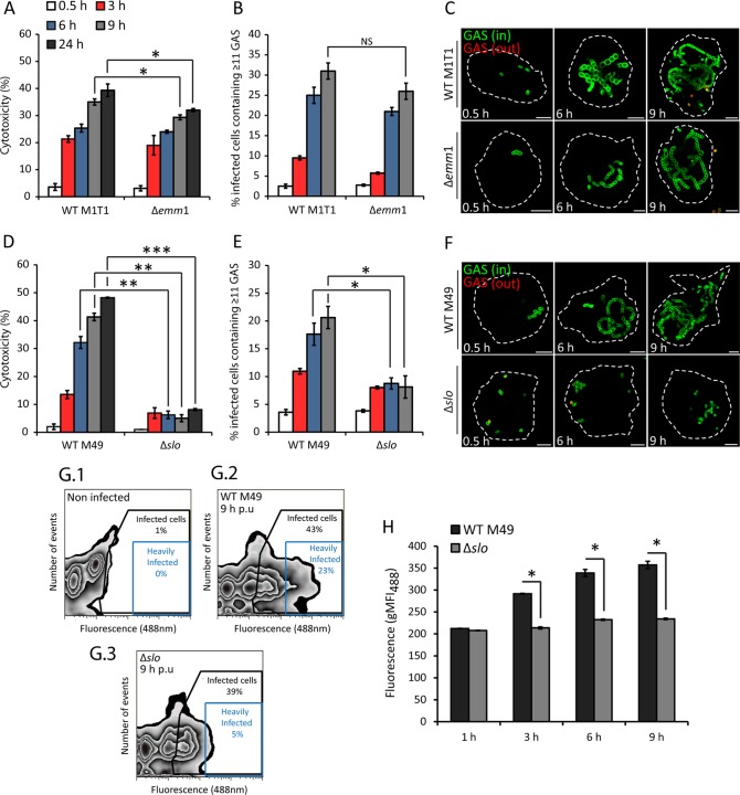 FIG 3 