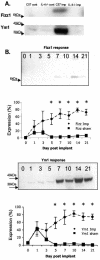 FIG. 1.