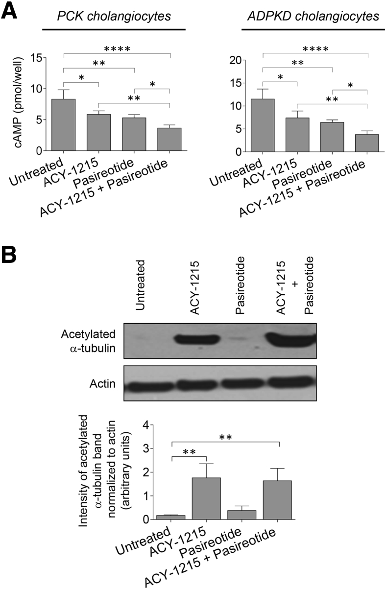 Figure 7