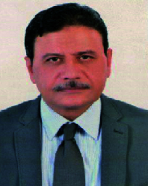 Ahmed H. M. Elwahy