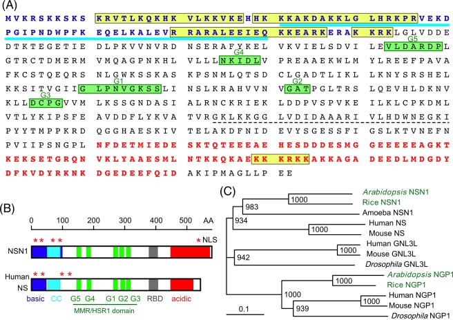 FIGURE 1: